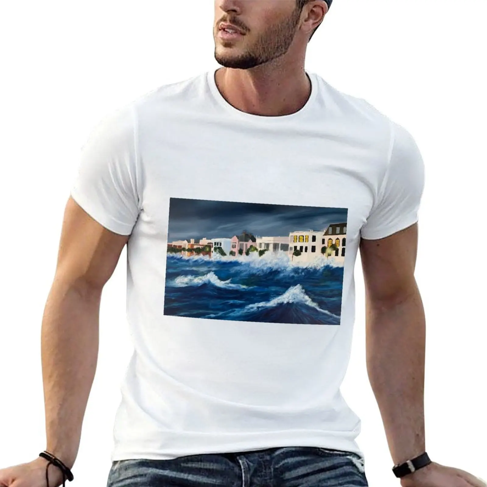 The Storm (prints) T-Shirt oversized t shirt kawaii clothes designer t shirt men