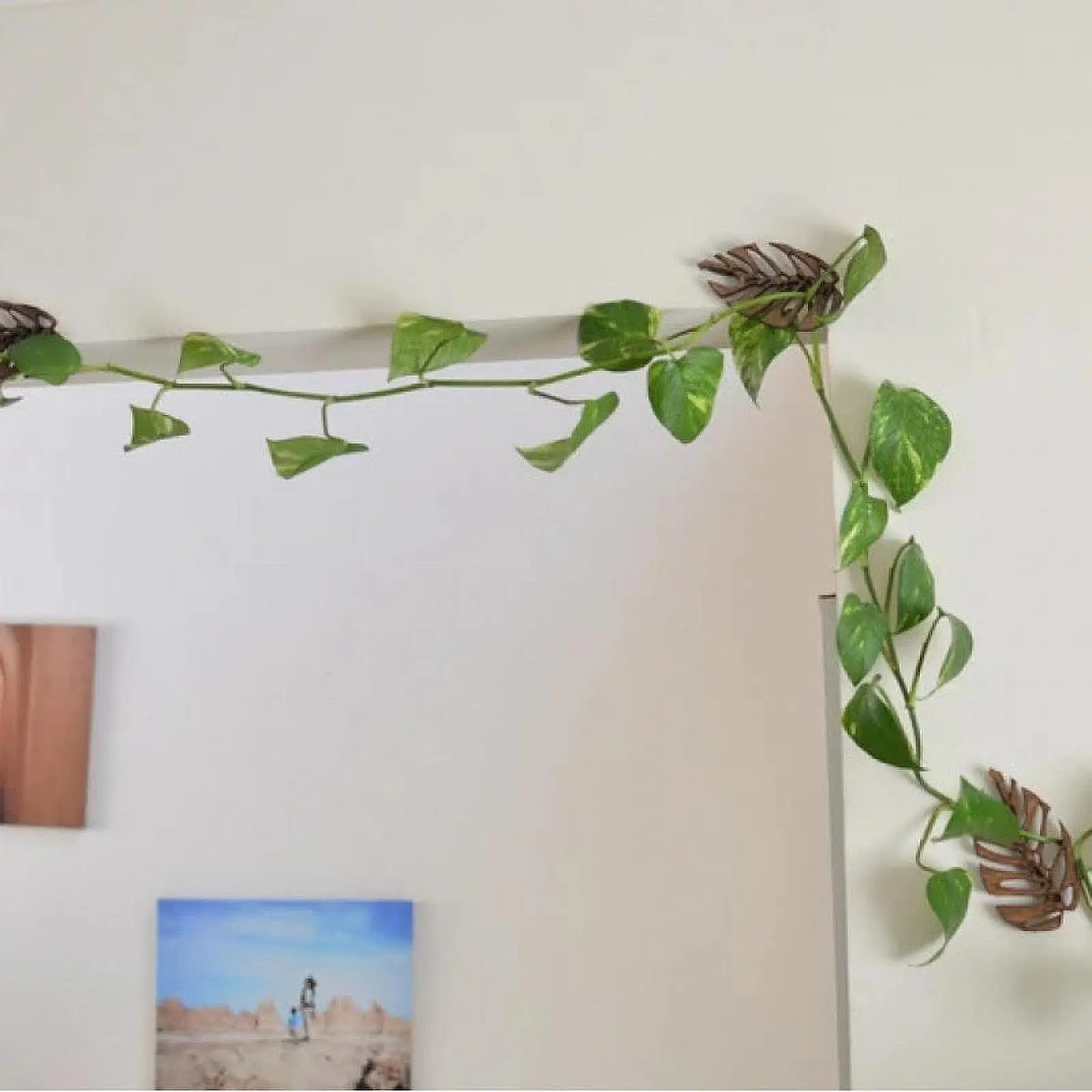 Practical Wall Plant Climbing Brackets Wooden Compact Support Accessories for Balcony and Entrance