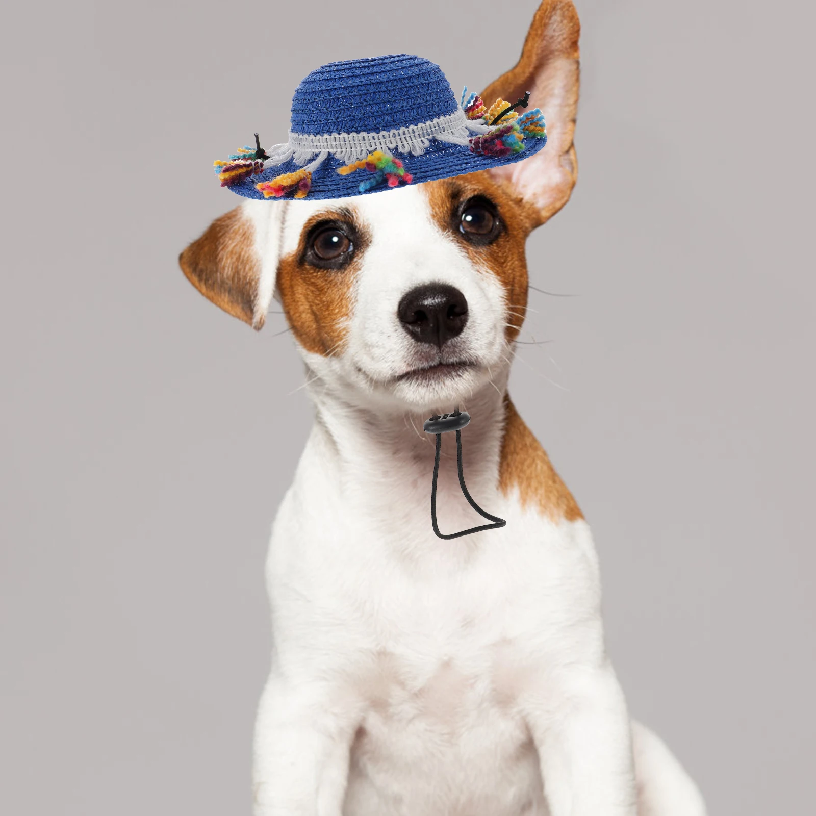 

Creative Pet Tassel Straw for Small Dogs Fashionable Lightweight Comfortable Party Costume Blue Decorative Accessory Dog Party