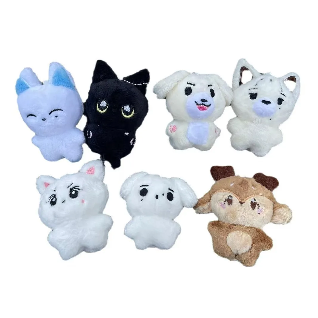 

Kpop плюшевый JUNGWON HEESEUNG JAY JAKE SUNGHOON мягкие игрушки брелок Kawaii мультяшный кулон аксессуары сумка подарок для фанатов