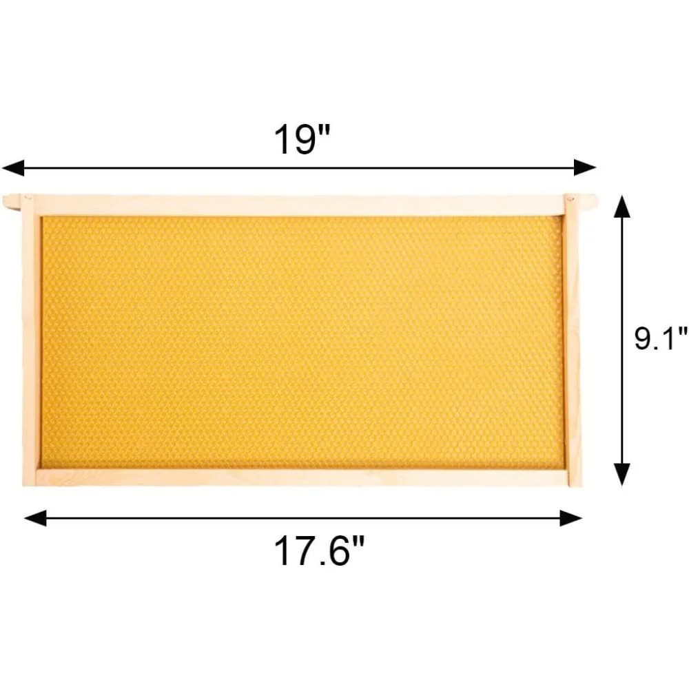 20 عبوة من إطارات خلية النحل مع ورقة أساس مشمعة، إطارات خلية النحل المفككة، مقاس 9-1/8 بوصة