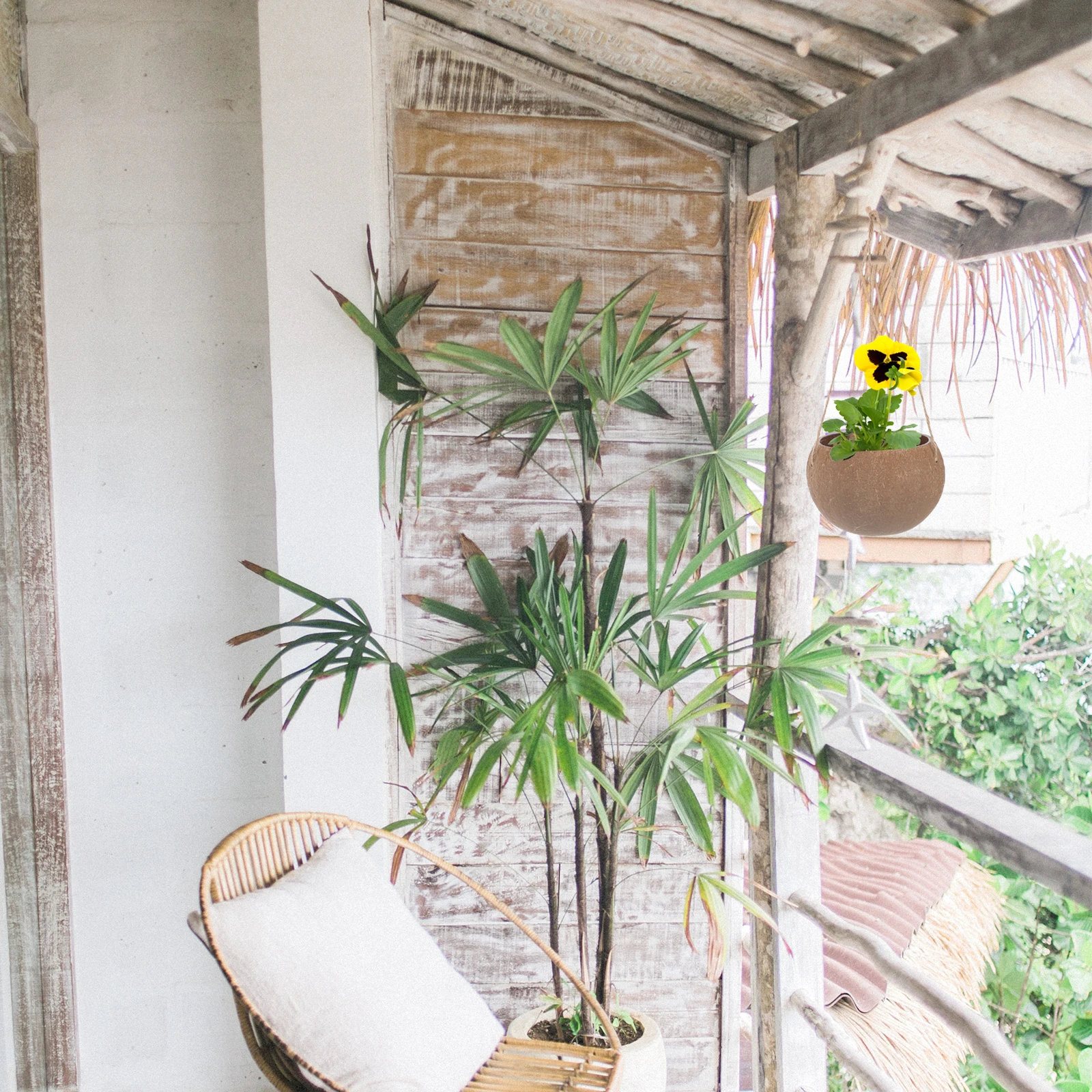 

Coconut Shell Hanging Flower Pot Plants Balcony Planter Holder Coffee Container