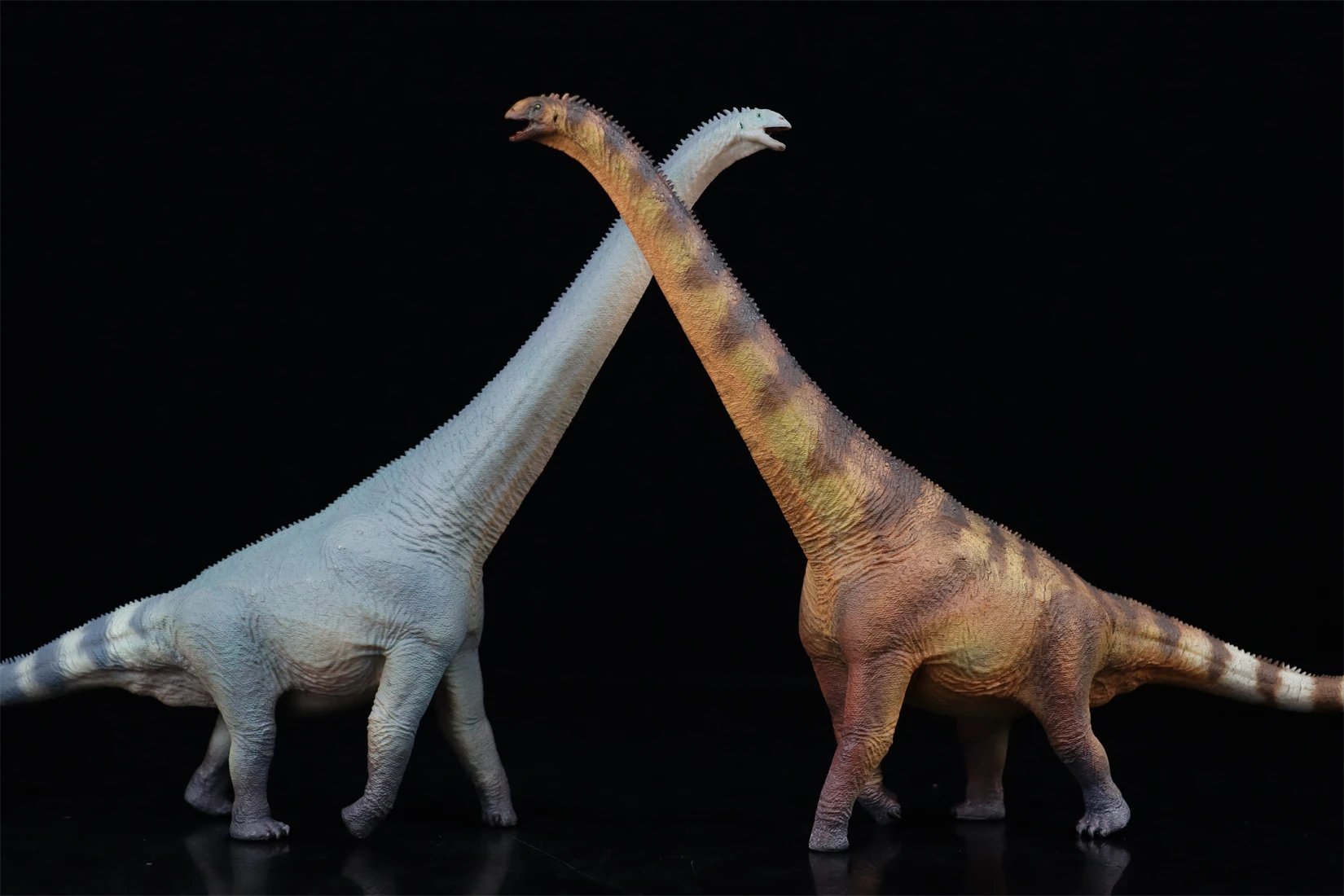 HAOLONGGOOD 1:35 Euhelopus モデル Sauropoda 恐竜 Euhelopodae 動物フィギュアコレクションシーン装飾誕生日ギフト