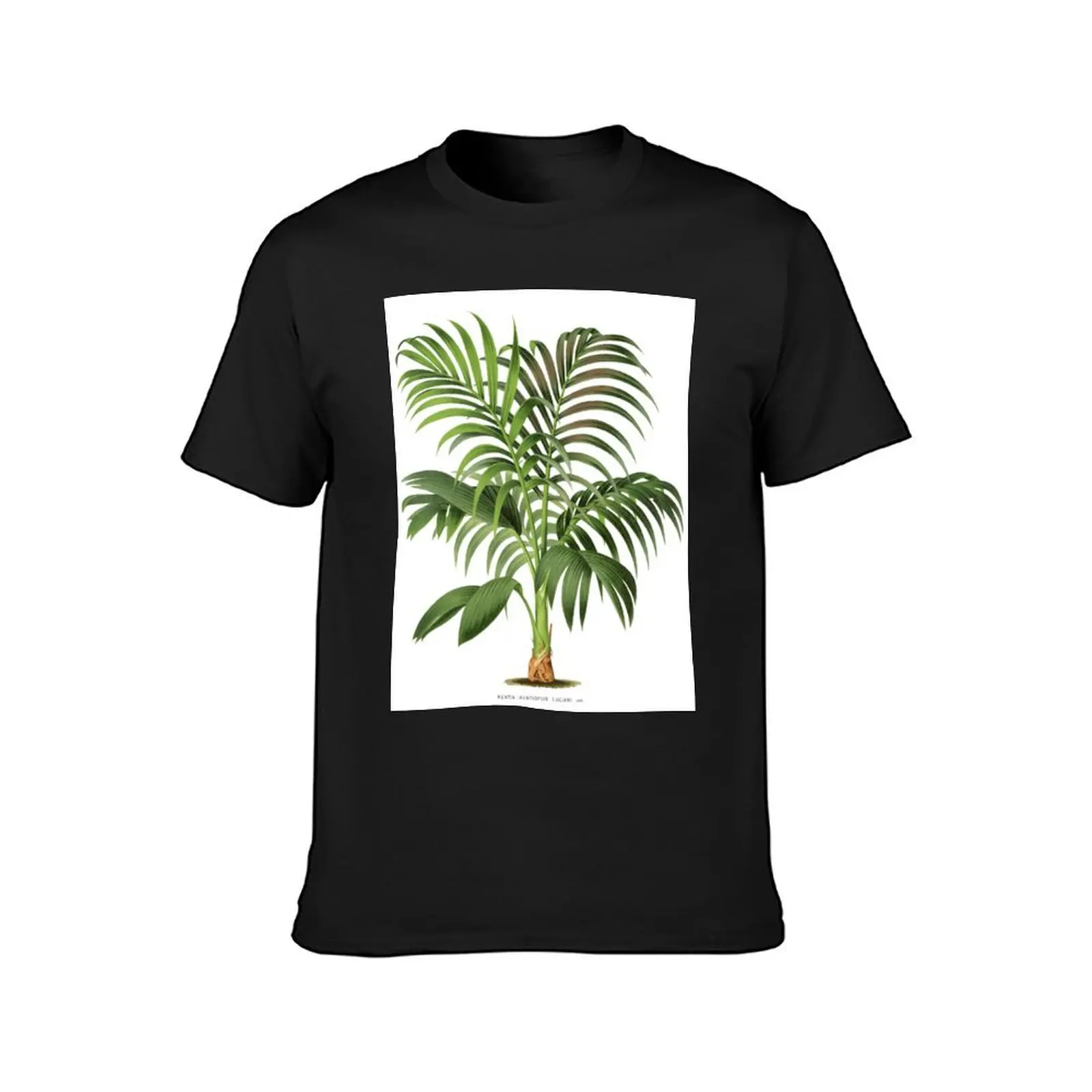 Kentia Palm - Luciani T-Shirt tees cute tops plain white t shirts men