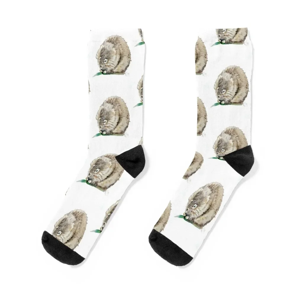 

Water Vole Socks ankle tennis with print cool Socks Man Women's