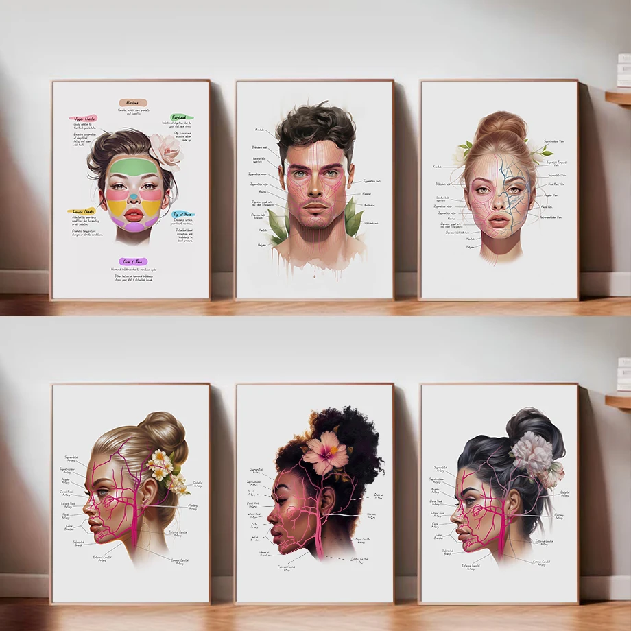 تشريح الوجه عضلات الوجه والفينز تجميل سبا صالون الطبية الجمالية المشارك حائط لوح رسم الفن صور ديكور المنزل هدية