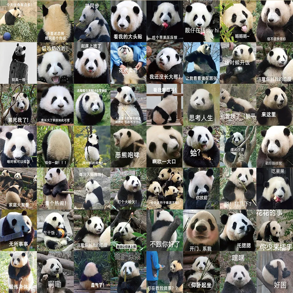 62pcs Cute Panda Graffiti stickers Notebook stationery decoration, personalized and creative DIY waterproof stickers