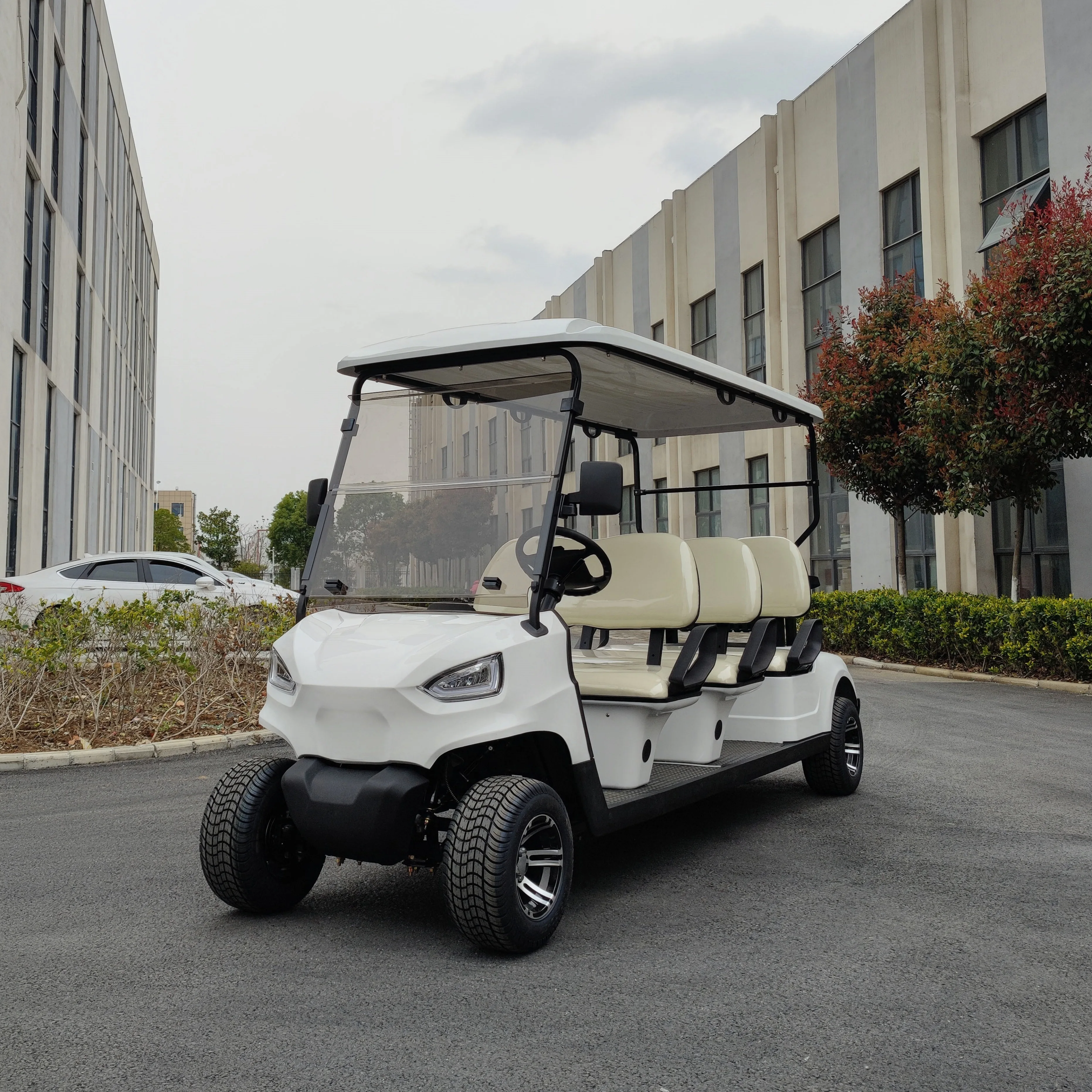 Wholesale Stable And Comfortable Golf Cart Electric 2 Seater Lithium Battery Electric Golf Car Price