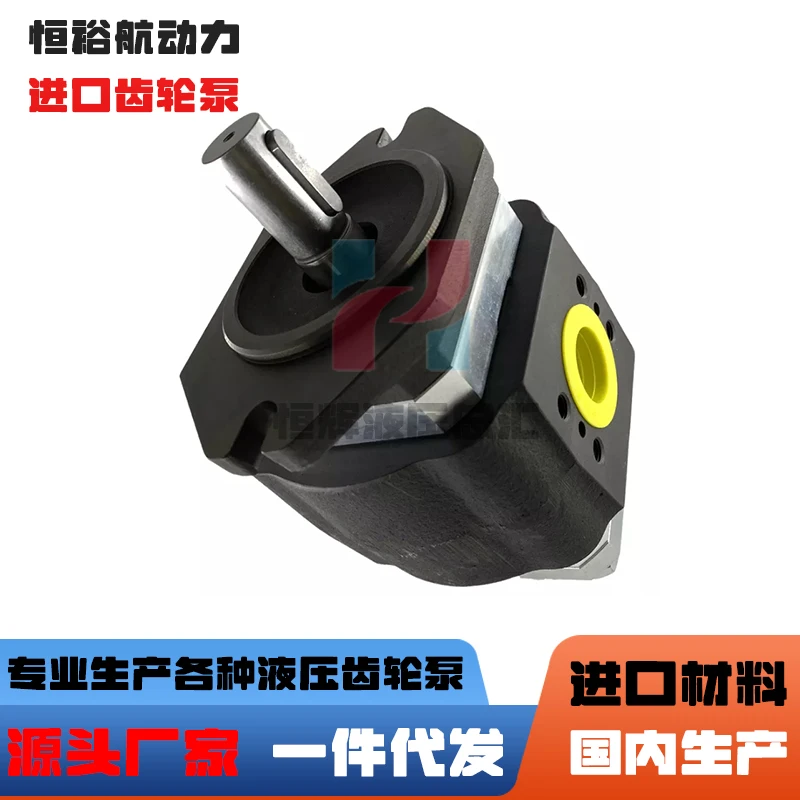 

Hydraulic Pump HOERBIGER Bending Machine Gear Pump HQI2 HQI3 HQ12 HQ13 Oil Pump