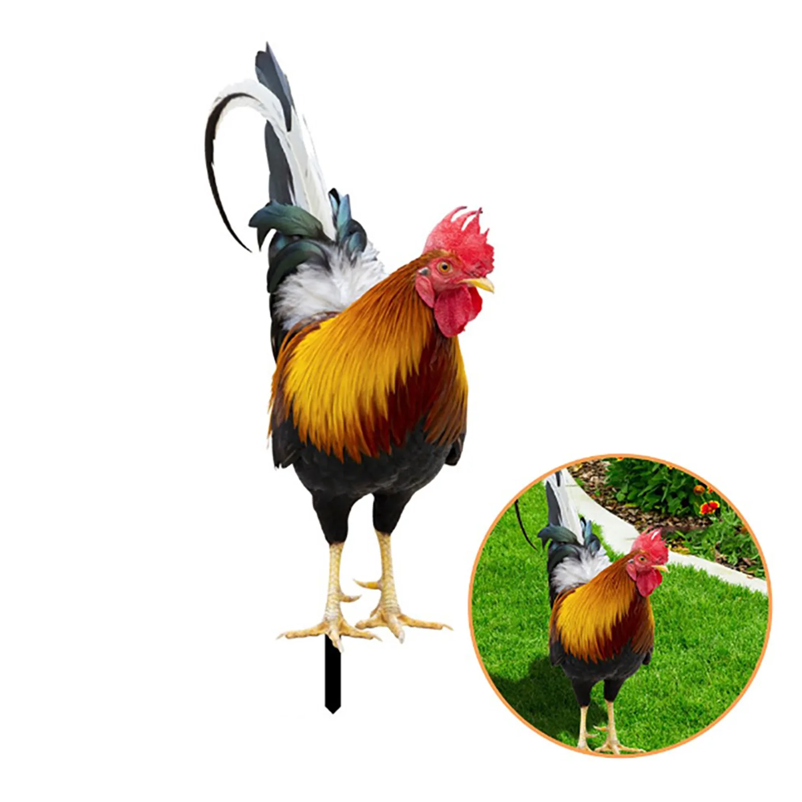 Rooster Statues Garden Stake Wearable and Durable Garden Stake for Scaring off Rodents and Birds