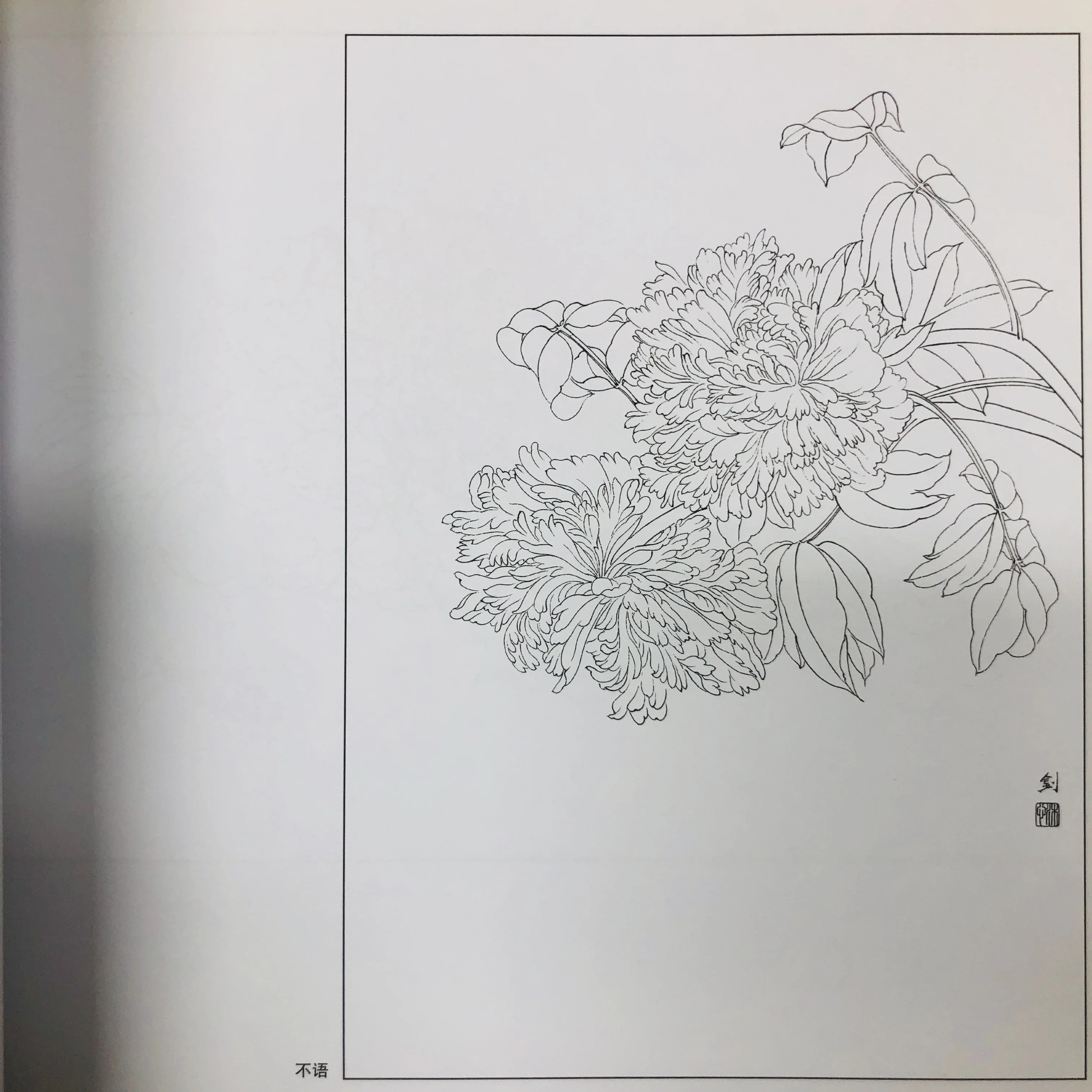 Coloring Book for Adults and Teens Featuring  with Easy and Simple Designs for Relaxation Chinese painting sketch