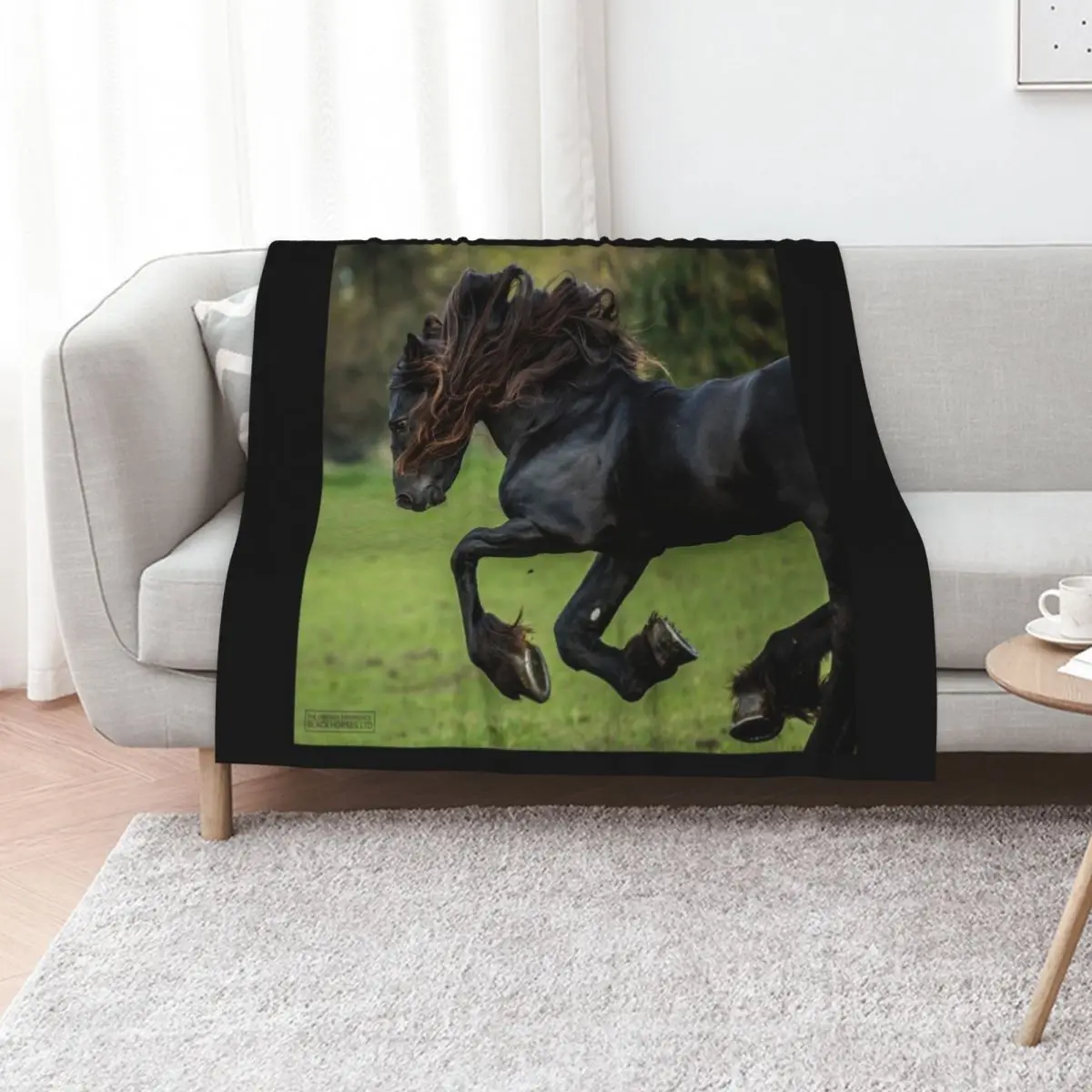 The Friesian Experience - Beautiful Black Beauty Friesian Horses Throw Blanket Picnic Decorative Beds bed plaid Plush Blankets