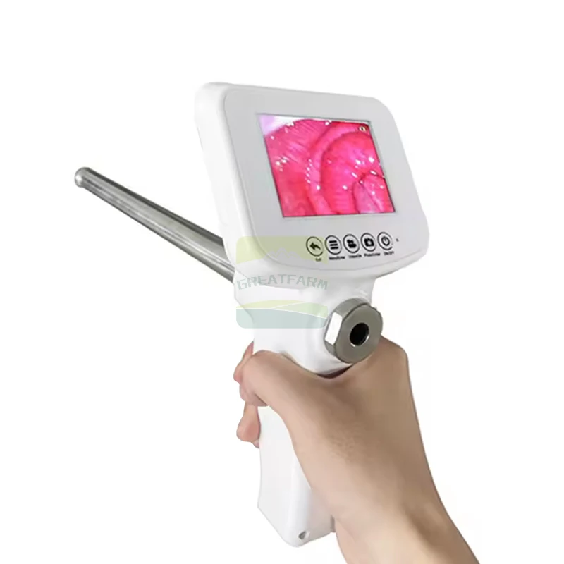 

Portable Bovine Visual Insemination Gun Bovine Insemination Equipment Convenient Portable Bovine Visual Insemination