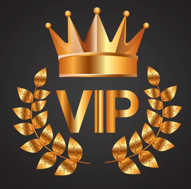 

VIP Customized Link Customized *1