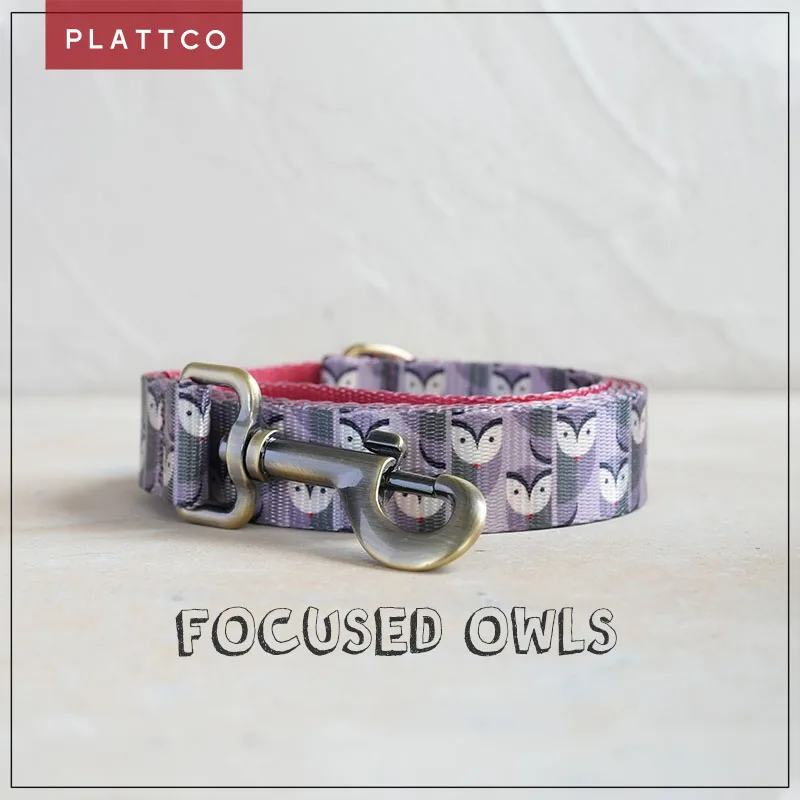 PLATTCO unique design dog leash print FOCUSED OWLS with high-quality bronze buckle size 5 PDL316Br