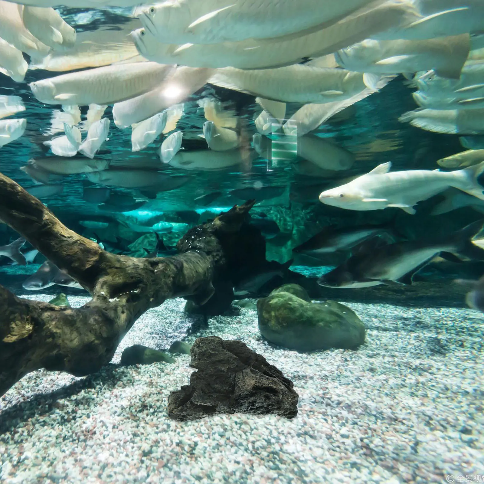 

Resin Stone Aquarium Ornament Realistic Fish Tank Decoration Simulation Landscape Rock for Natural Aquatic Habitat Enhancement