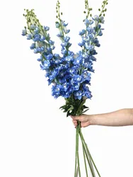 5pcs Artificial Larkspur Flower Branch Silk Hyacinth with Long Stem Blue Purple White Pink Large Delphinium