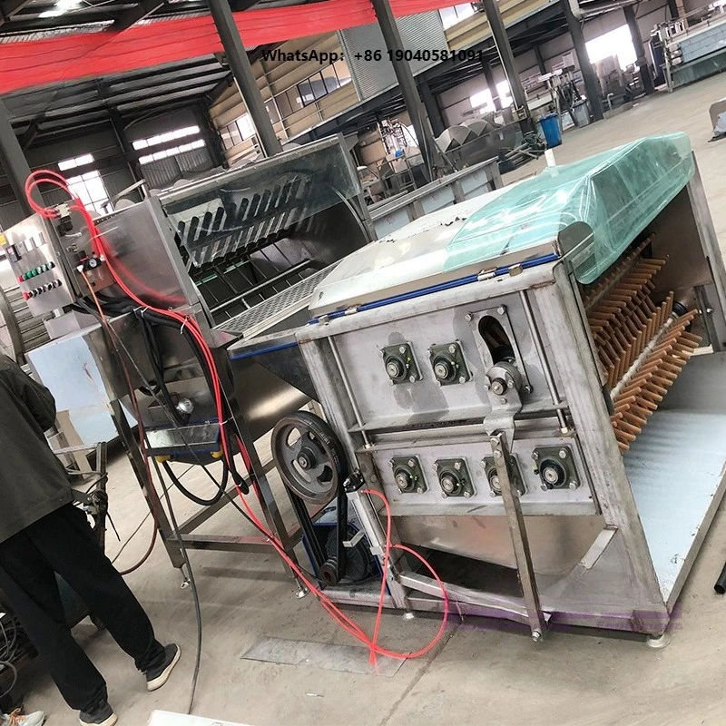 Factory Automatic 500Bph Two-in-One Chicken Scalding Plucking Machine Motor Pump Slaughterhouse Hair Removal Equipment