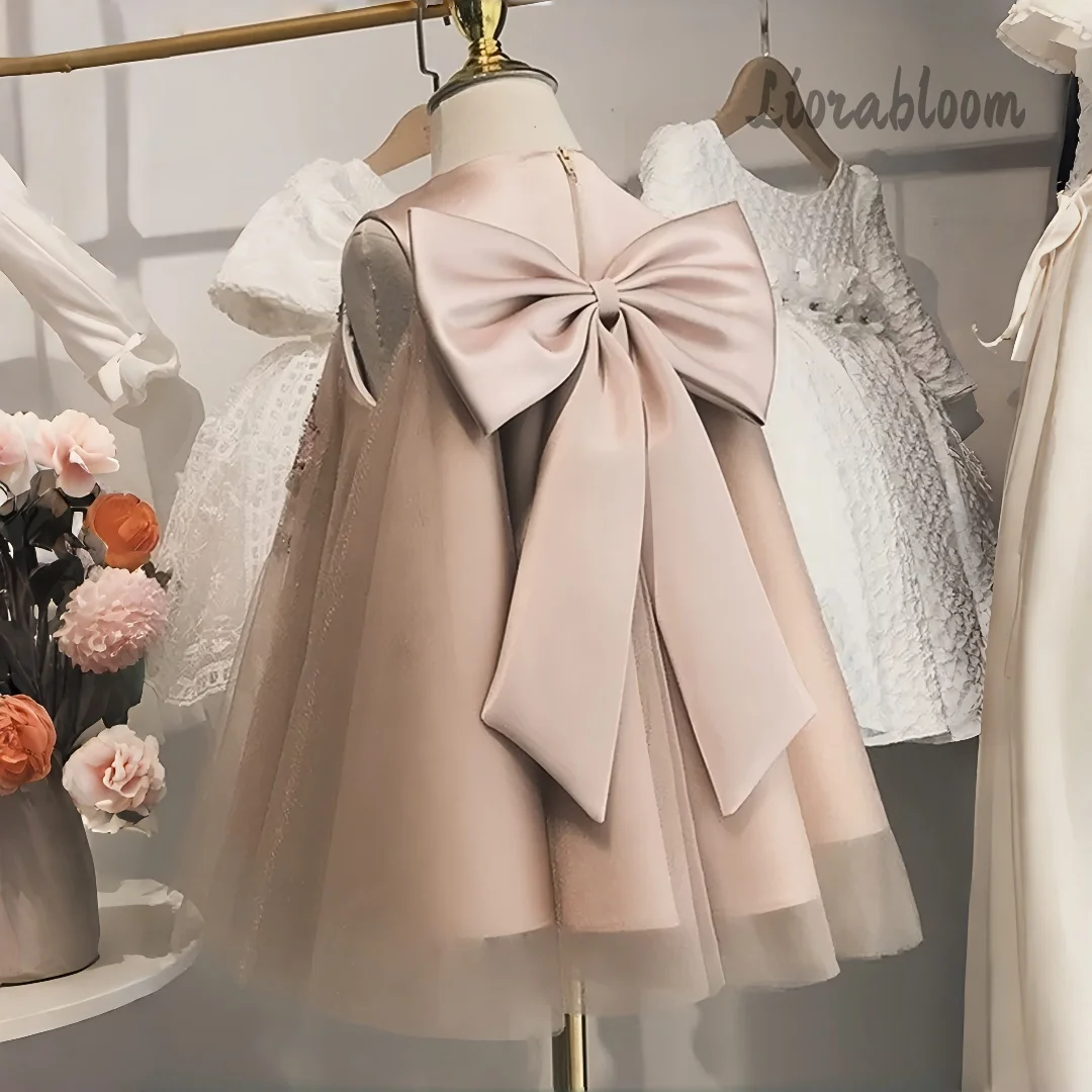 

Princess-Style Dresses Elegant Girls' Evening Gowns Flower Girl Dresses Girls' Formal Ball Gowns Intricately Crafted Gowns