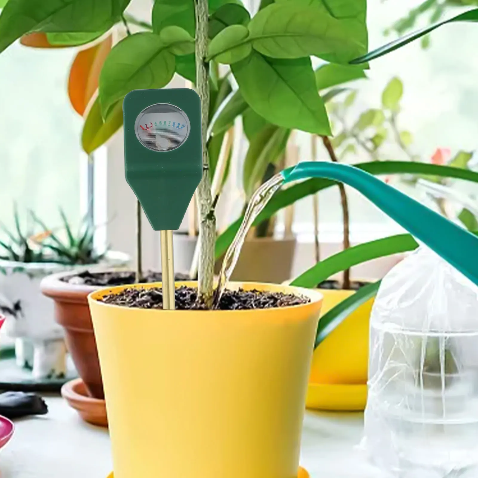 Innovative Portable Soil Meter to Accurately Assess Plant Water Needs Perfect Addition to Any Gardener's Toolkit