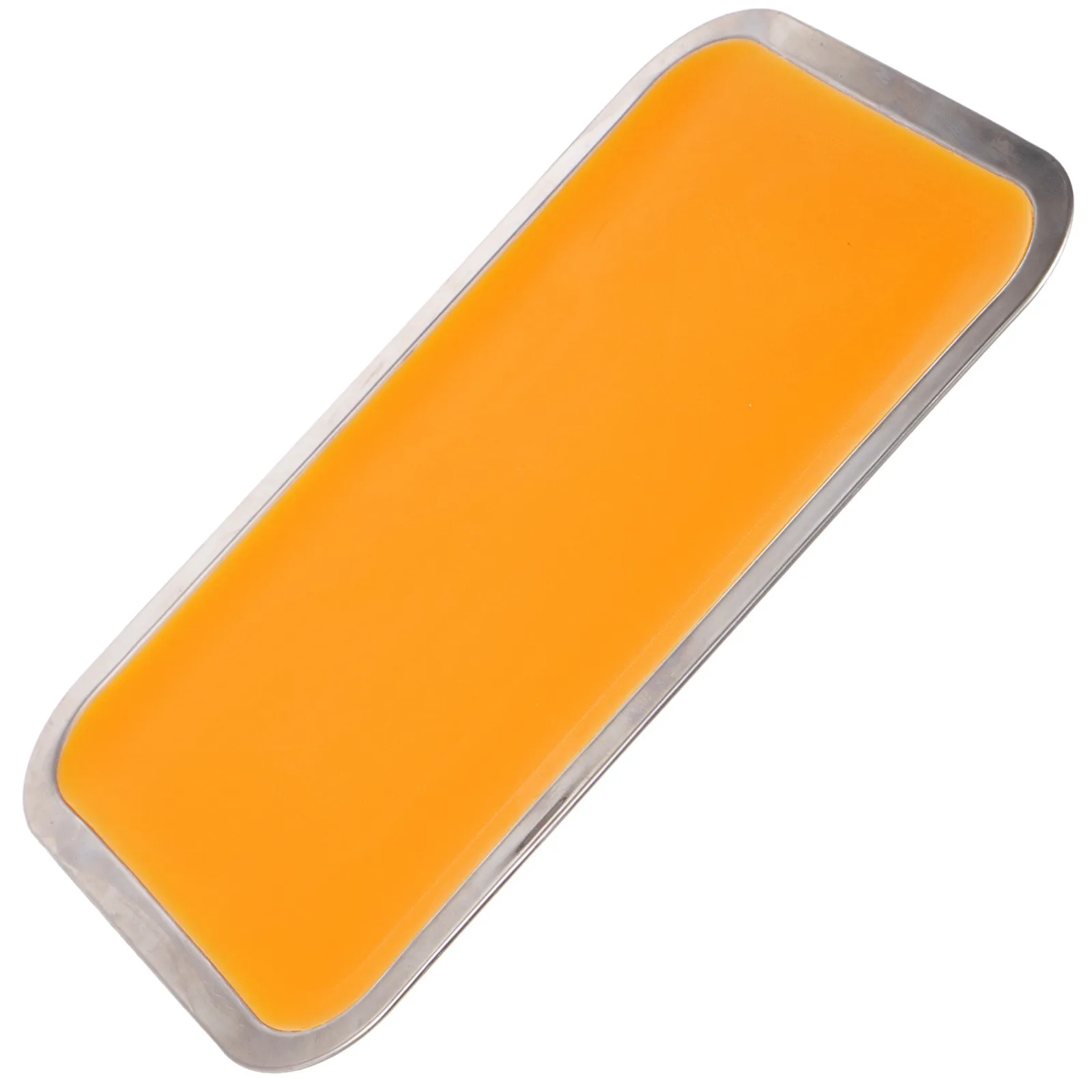 

1Set Stainless Steel Dissection Tray with Wax Lined Bottom Versatile Tray for Anatomical Dissection Science Classroom