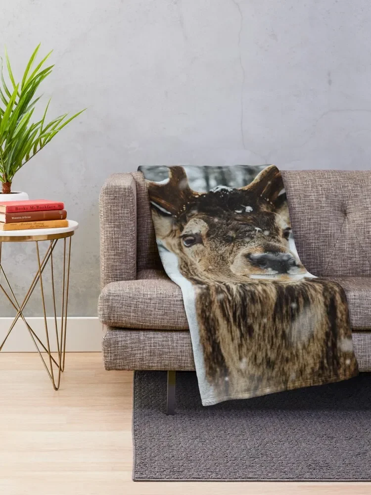 Deer in the snow Throw Blanket Camping For Decorative Sofa Large Giant Sofa Blankets