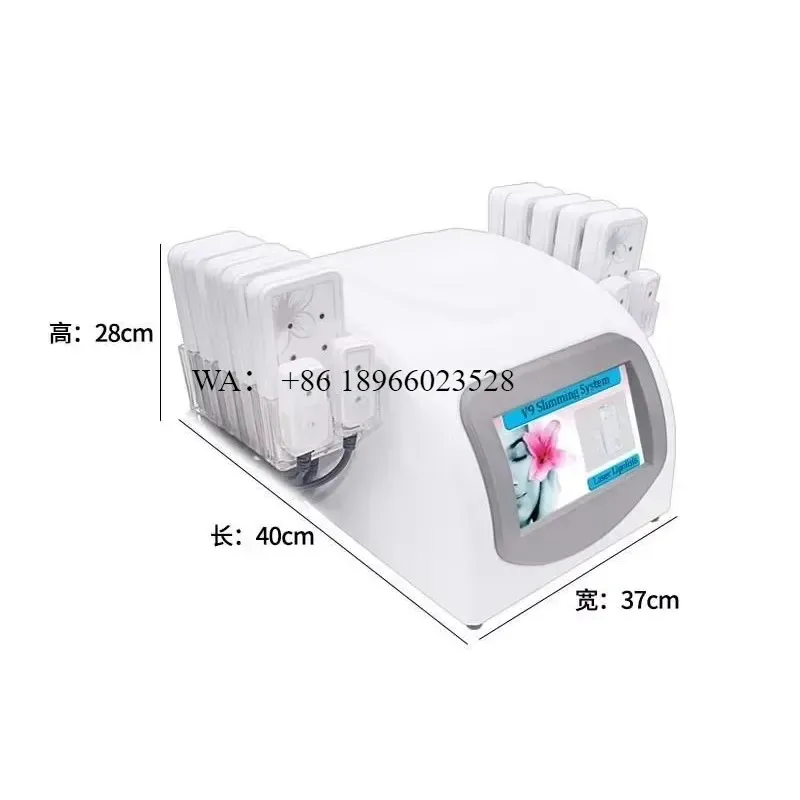 WMWMNU Wholesale Professional 10+4 Pads 650nm Weight Loss Non-invasive Fat Burning Body Shaping Beauty Device
