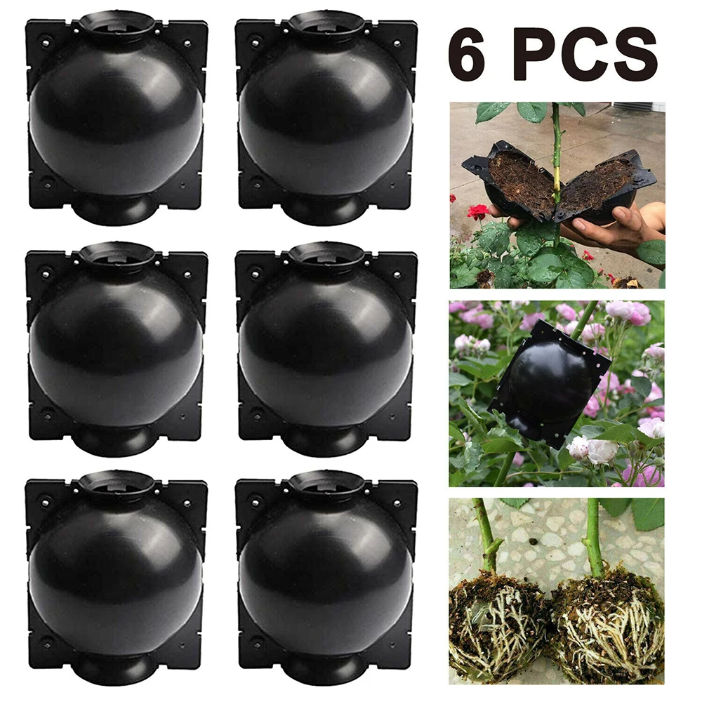 

Propagation Plant Rooting Boxes Grafting Pressure Propagation Root Device Safety Locks Wear-resistance 6PCS Set