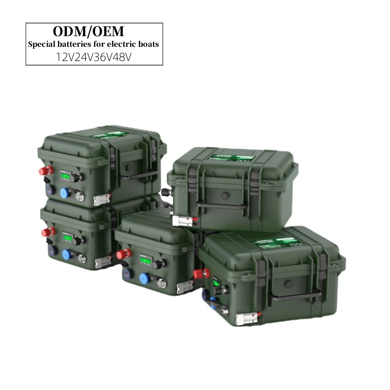 

Outdoor Camping 12V Portable Luggage 50A 60AH 80AH 100AH Battery Pack 24V Kayak Specific IP67 Waterproof Lithium Battery