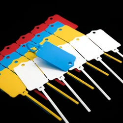 100pack/lot Tag Key Tags Durable And Reliable Reusable Plastic Straps For Various Uses Adjustable Red
