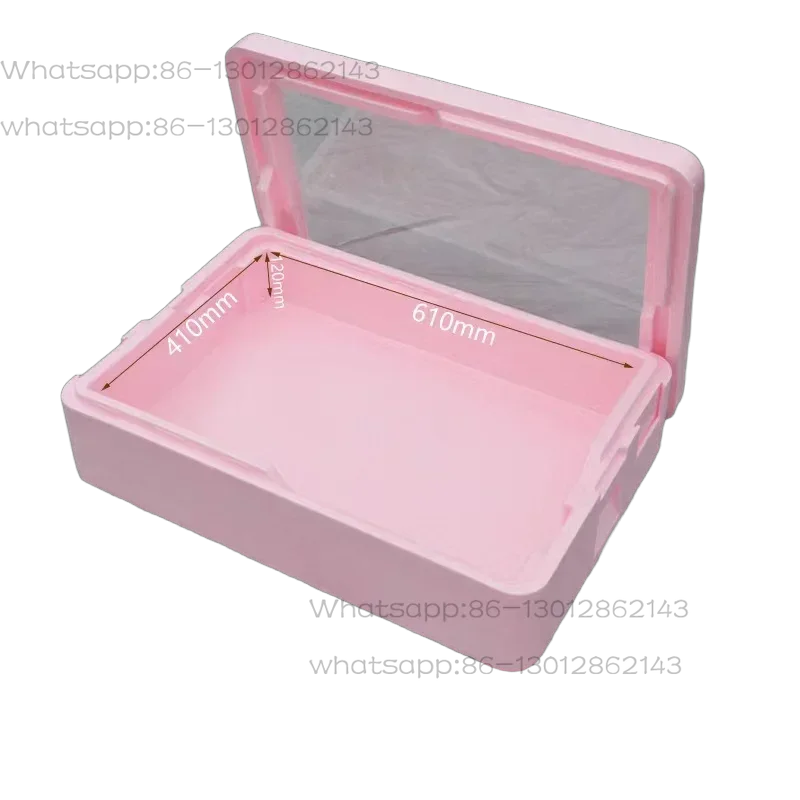 Portable Insulated Foam Cooler Box with Transparent Lid, Food Storage Container, Tiramisu Mold Organizer