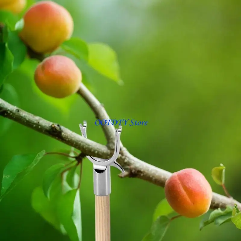 367A Reusable Metal Garden Support Poles for Flowering Plant Vertical Growth