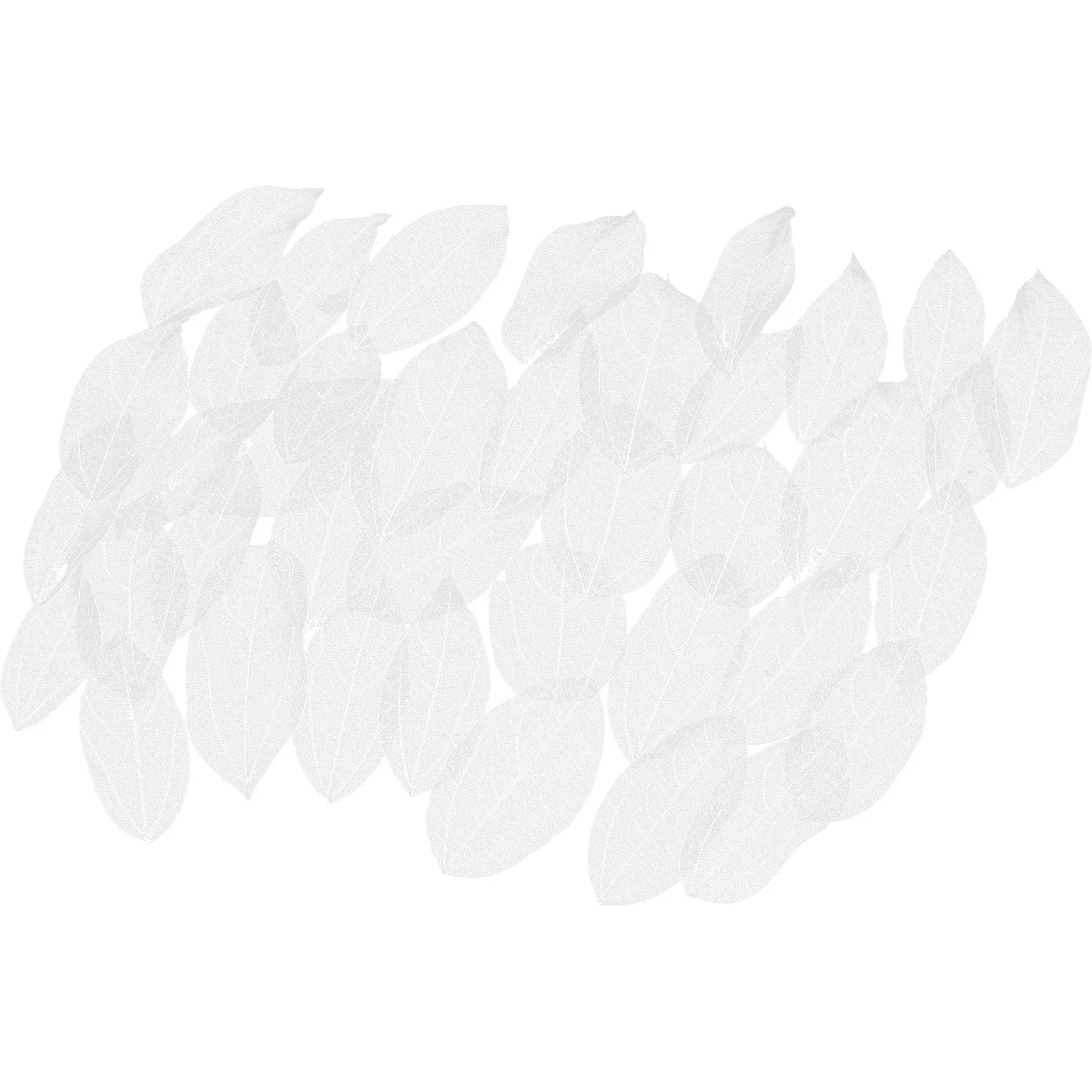 36 peças folhas prensadas secas para amuletos diy, arte em resina e enfeites artesanais, folhas, amuletos de folhas