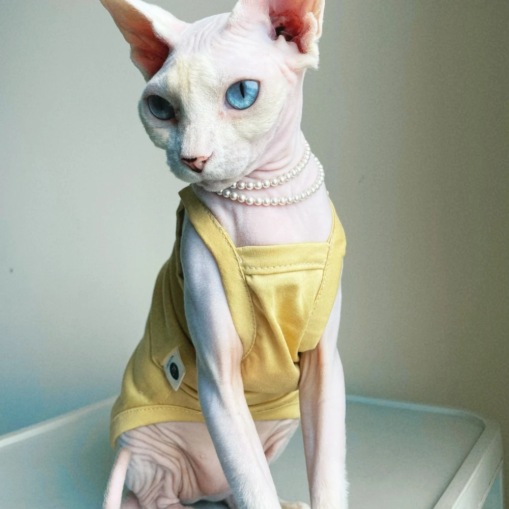 Different Solid Colors Vest for Hairless Cat Summer Cotton T-shirt for Sphynx Cat Soft Pajamas For Devon Rex For Spring Outwear