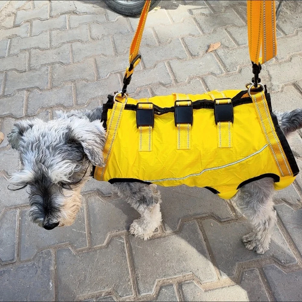 Hochwertige Haustier-Hilfskleidung für ältere Hunde mit Behinderungen, Spaziergänge, Rehabilitationsanzug, Hunde-Übungsunterstützungsgürtel – Detail 14