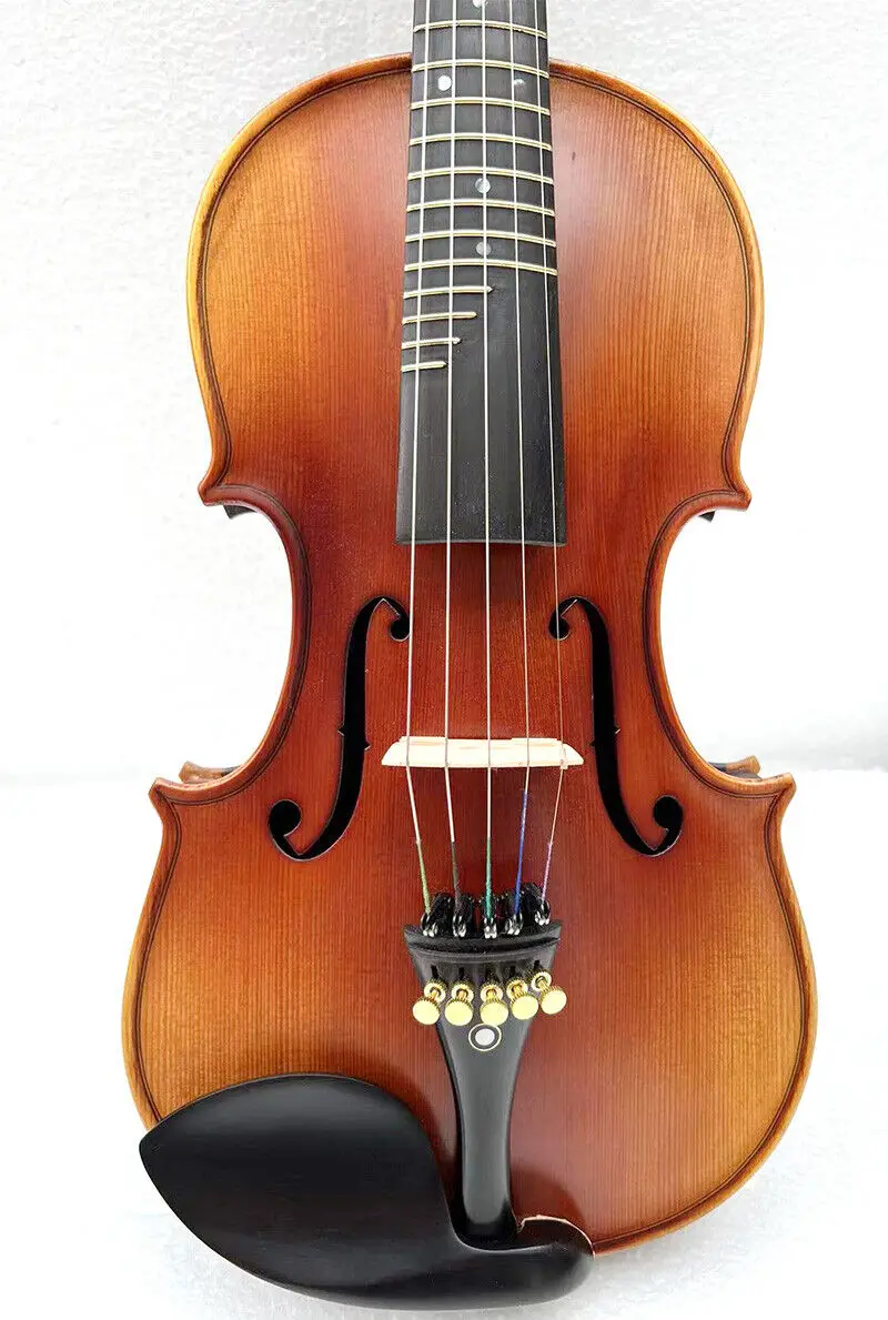 SONG Advanced 5 strings Violin with frets 4/4,Rosewood Violin,Good sound #15378