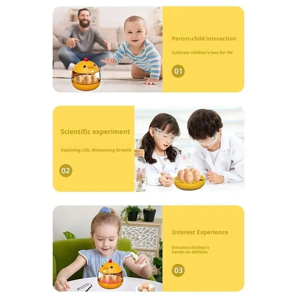 Transparent Window Eggs Incubator Automatic Temperature Control Low Noise Eggs Hatcher Machine Sturdy Humidity Control