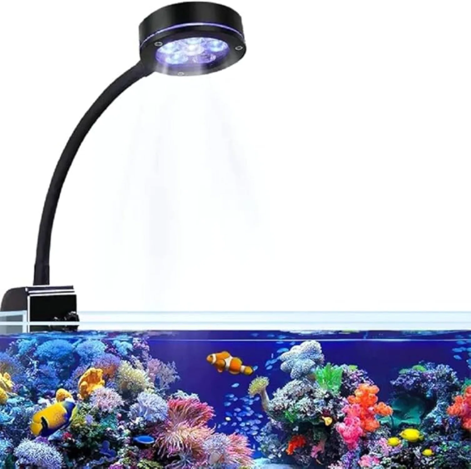 

Aquarium LED Coral Reef Light Full Spectrum Marine LED Tank Light Fixture 9W Seawater Blue Red Refugium Light with Timer/ Switch