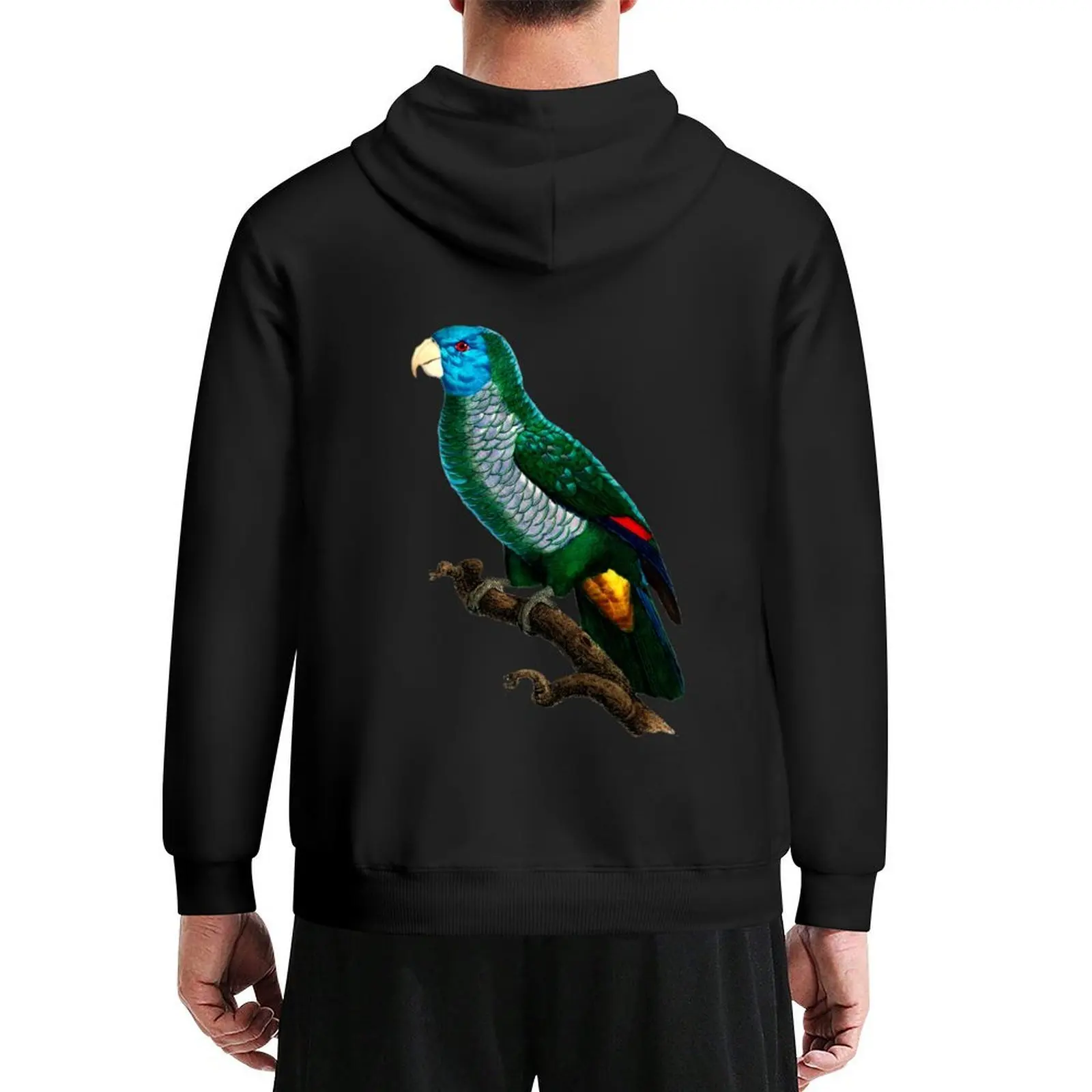 

Birds of Australia-10 Le Perroquet à face bleue Hoodie men wear men's autumn clothes anime clothing autumn japanese hoodie