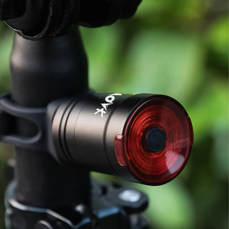 

Bicycle Rear Lighting Smart Bicycle Light Auto Start Stop Brake IPX6 Waterproof USB Charge Cycling Tail Taillight LED Lights