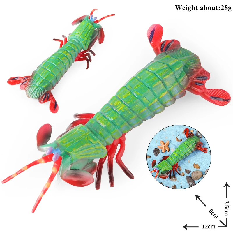 Oenux 海洋動物シミュレーションタイガーエビザリガニエビ海の生物