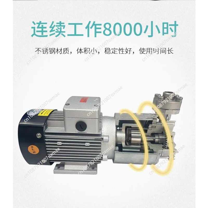 Die Heater Oil Pump Heat Conduction Oil Pump High Temperature Resistant Leak-Free Stainless Steel Magnetism Forle Pumps CY-4281