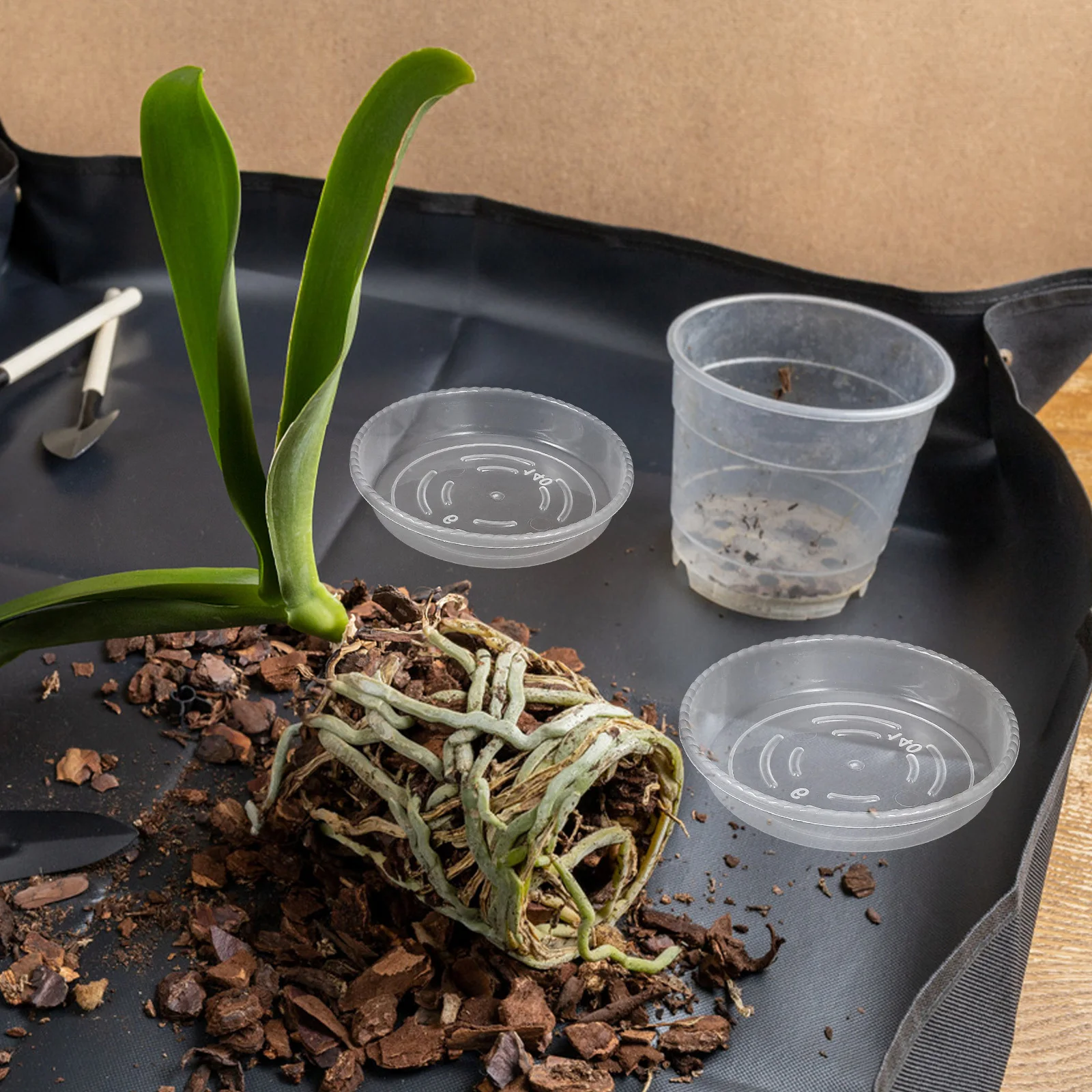 

9Pcs Plastic Flower Pot Saucers Clear Plant Trays Water Catcher Durable Drip Plates Flower Pot Tray Plastic Flowerpot Tray