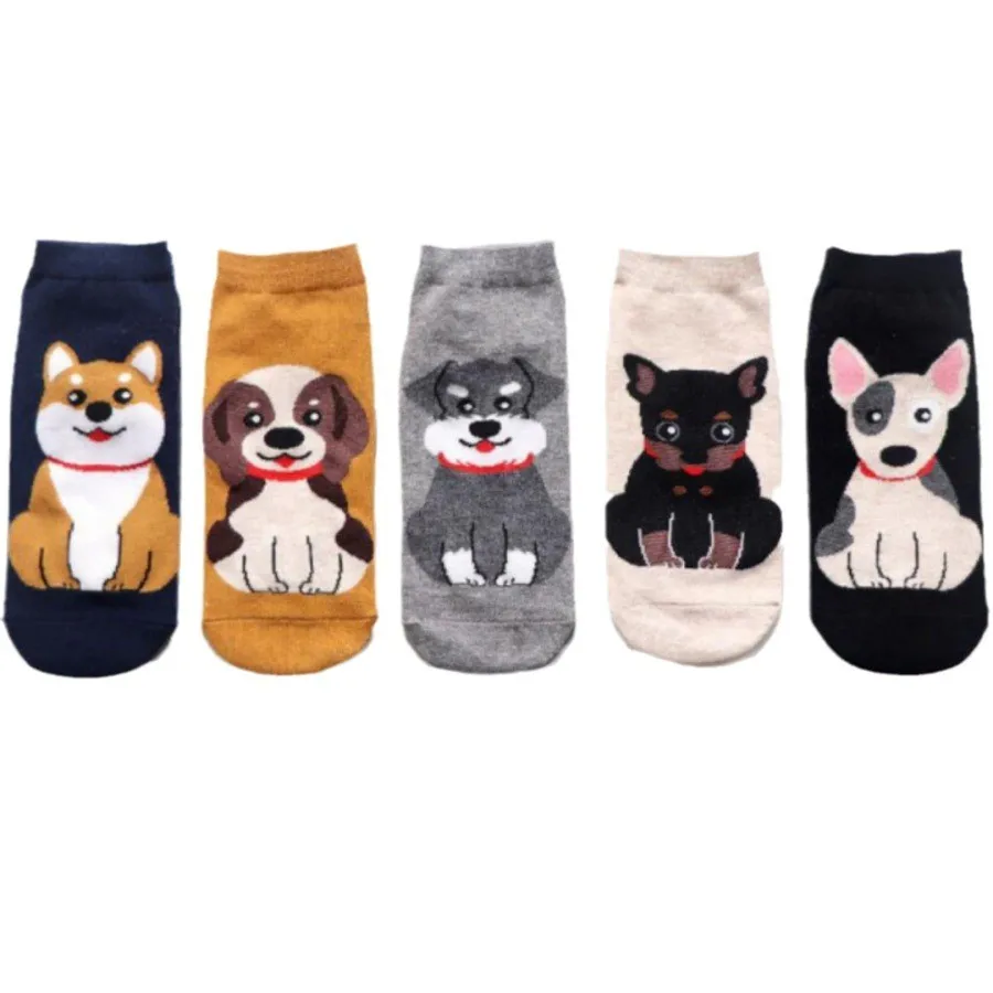 MYORED  10 pairs of cute cartoon puppy socks fashion trend new cotton non-smelly feet women's casual socks four seasons