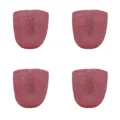 4PCS