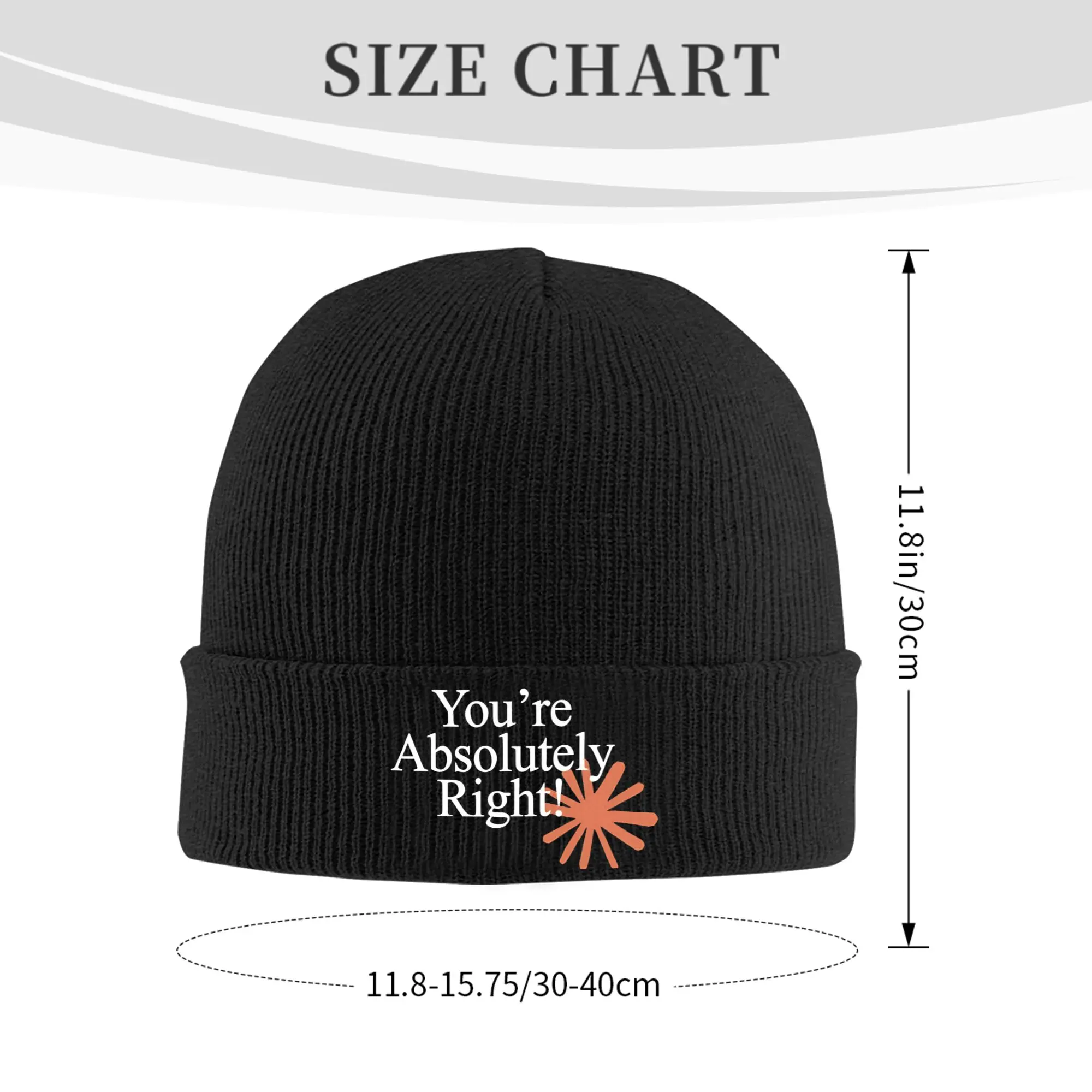 Claude Code You're Absolutely Right  Beanie For Women Men  Winter Warm Skull Knitting Hat Cap