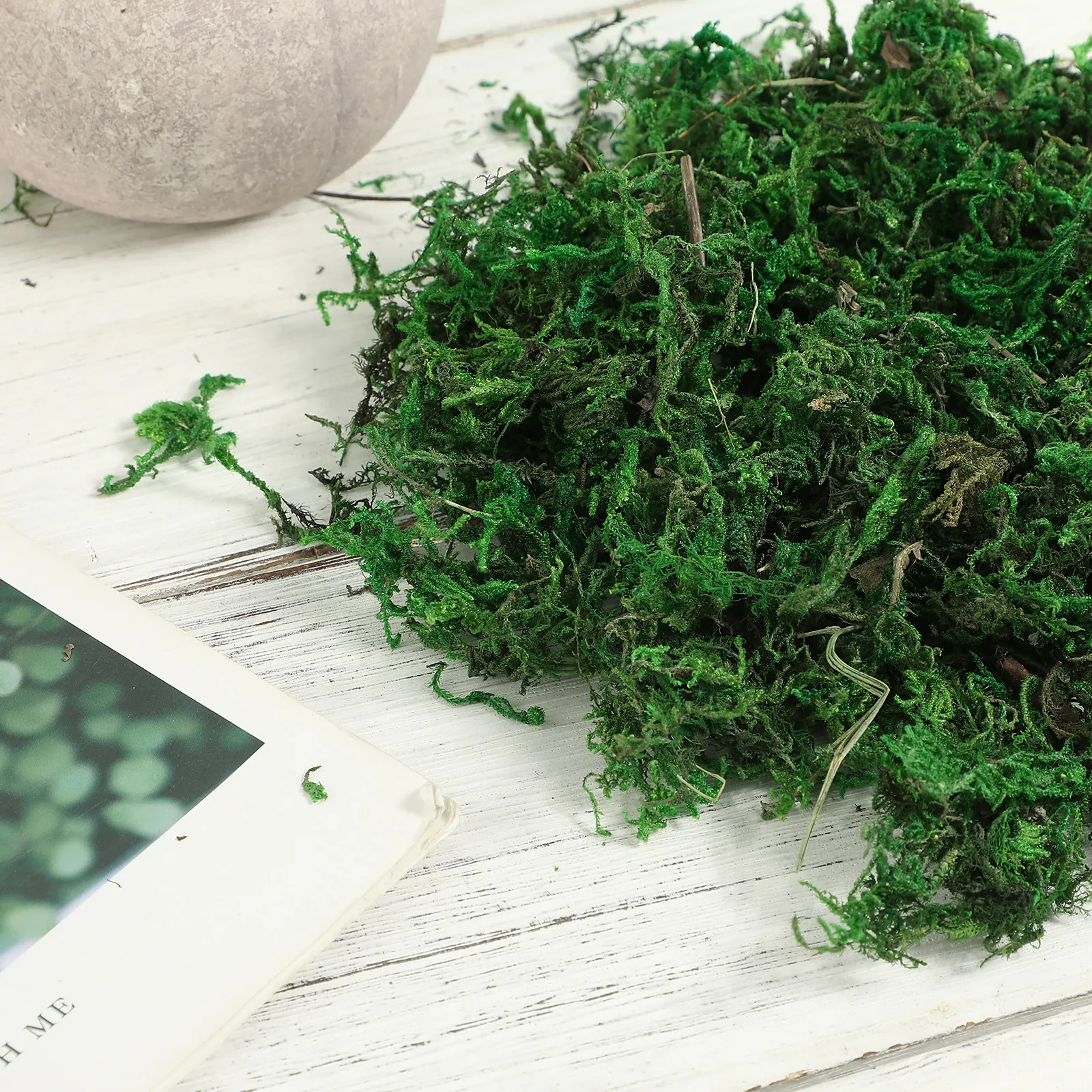 1 Pacote de Musgo Seco Artific - Preserved Moss Sheet avaliação e preço