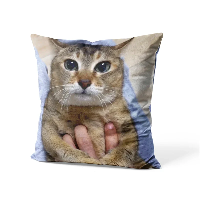 Aertemisi 18'' x 18'' Tole Tole Cat Mei Mei Cat Square Throw Pillow Cushion Covers Cases Pillowcases for Sofa 45cm x 45cm