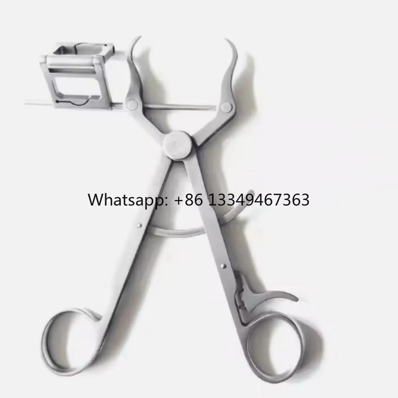 Surgery Veterinary Fine Point to Point Holding Forceps  for Small Animal Dogs and Cats
