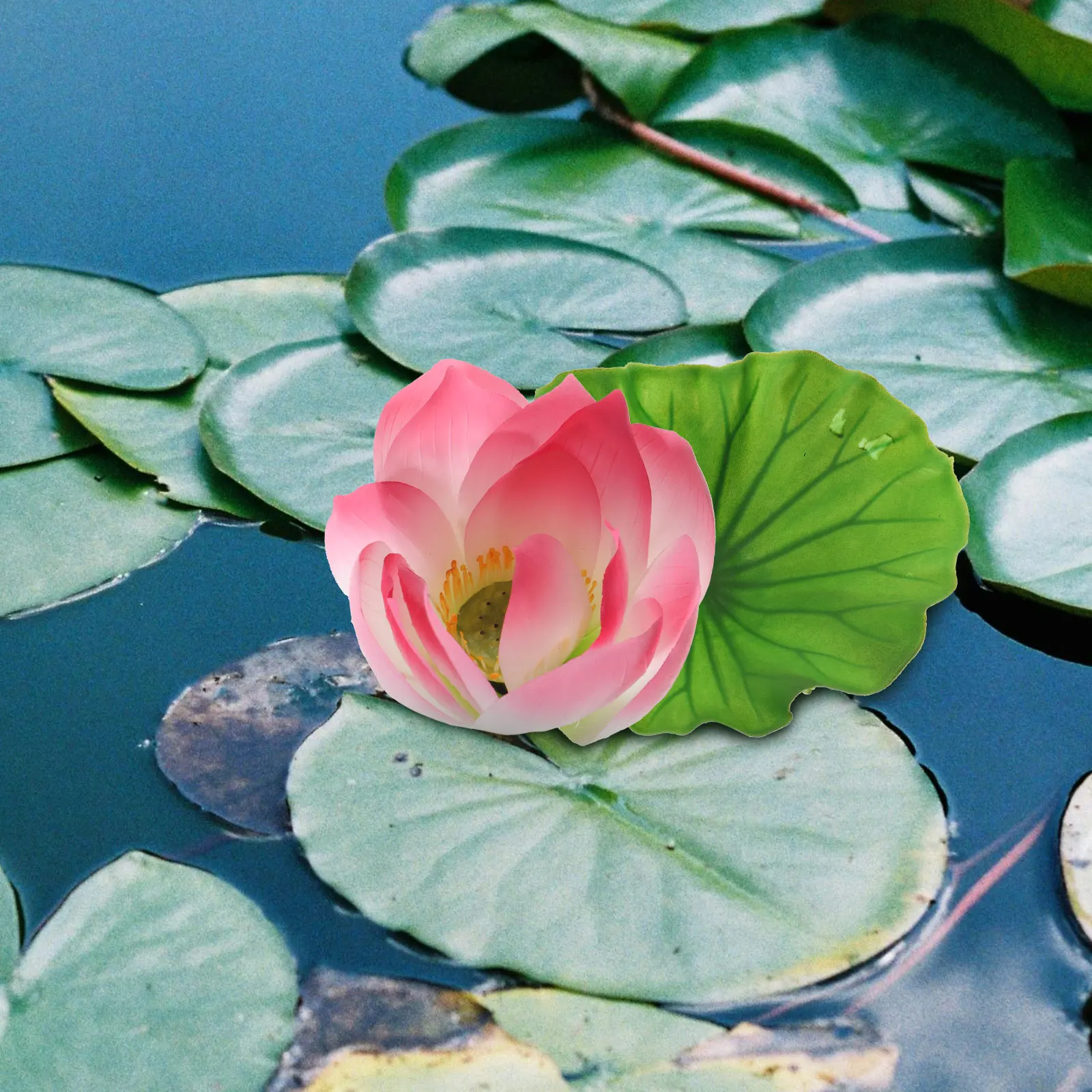 

1 set Artificial Lotus Leaf Decor Deep Pink PU Water Lily Home Garden Pond Pool Floating Props Simulation Flower